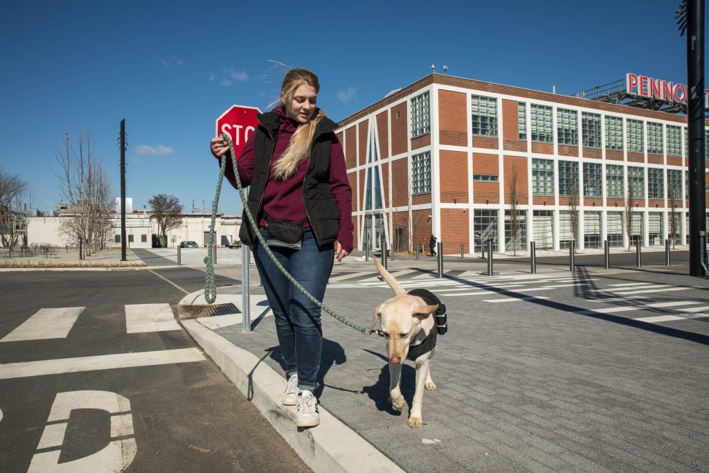 woman walking dog